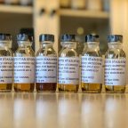 North Star Spirits Single Casks Batch 8