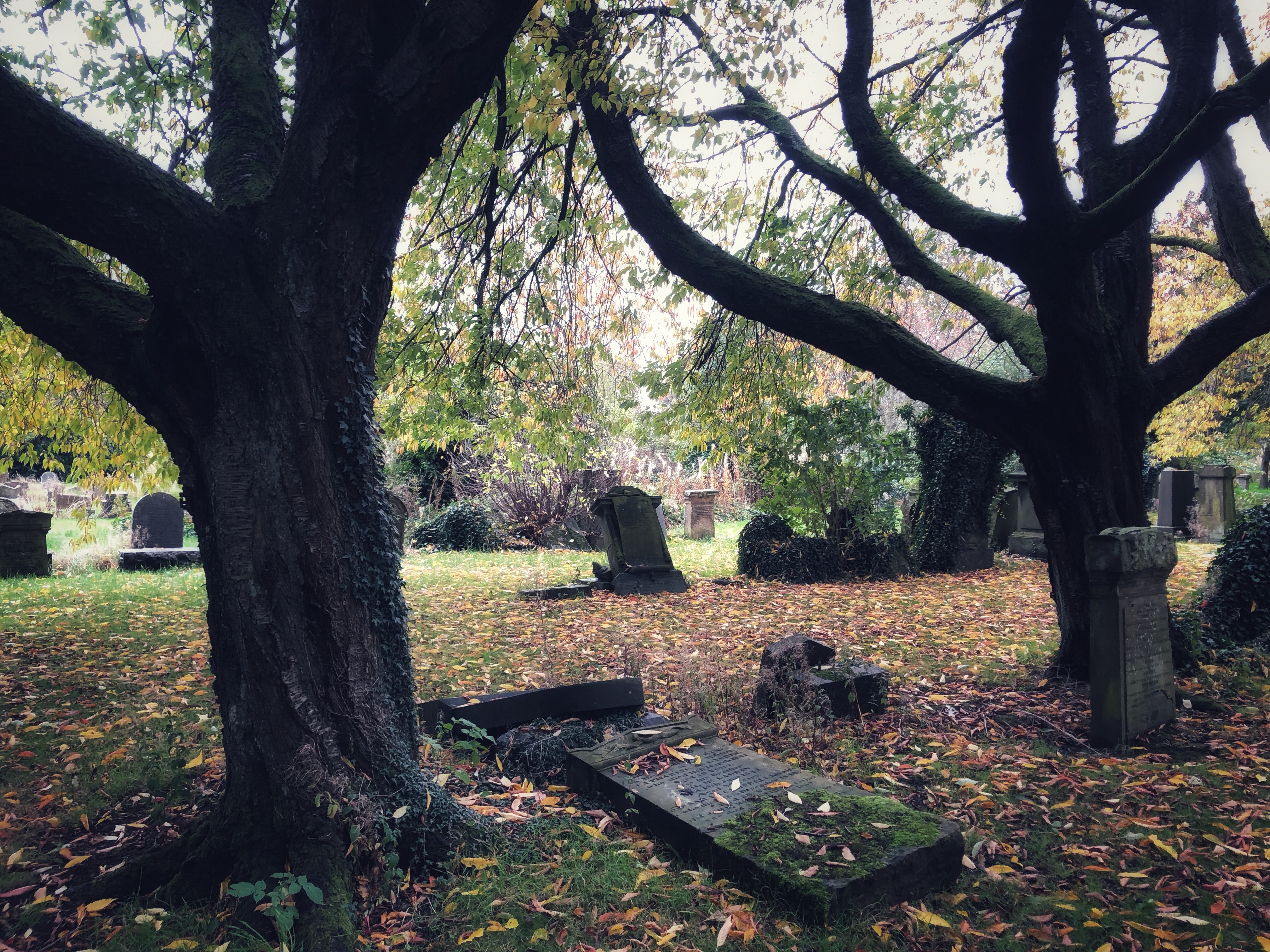 Adelphi Private Stock Reserve – Halloween Whisky Review 2021